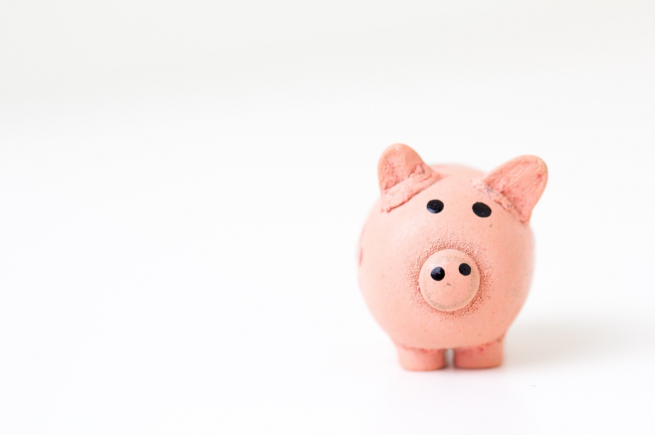 Novelty pink pig shaped piggy bank moneybox - Imputation Credits