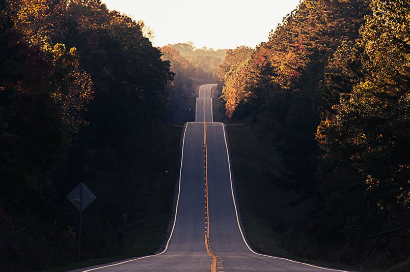 Market Volatility - Road to Recovery: A long, straight empty tree-lined road with multiple climbs and falls.